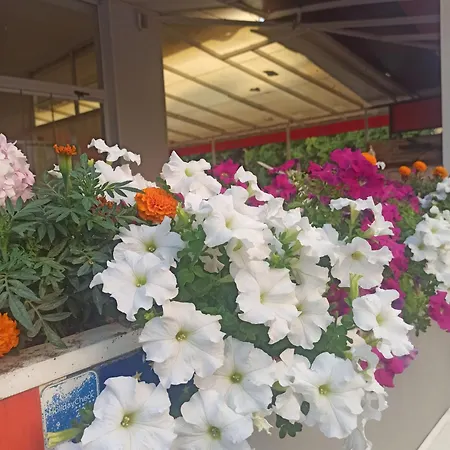 As Venues 阿拉尼亚